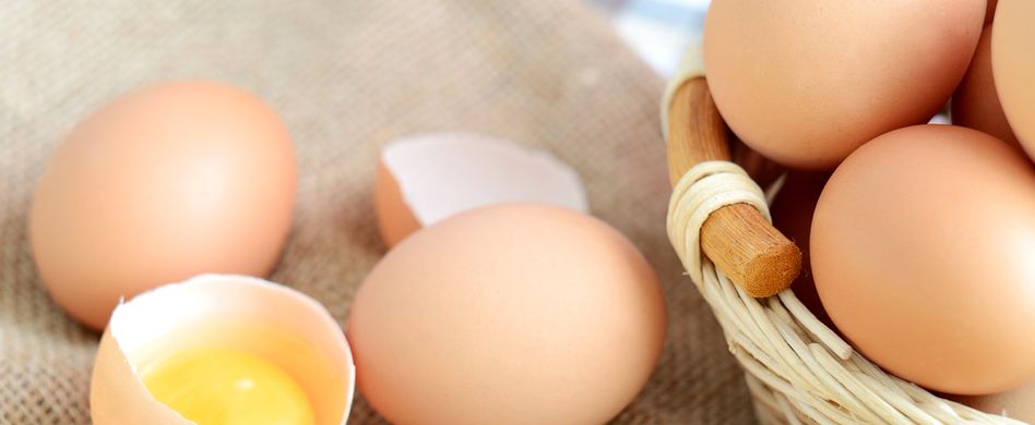 Salmonellen: Symptome und Übertragungswege der Infektion