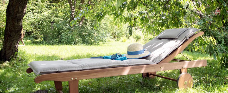 Schädlinge im Garten: Welche es gibt und wie Sie sie erkennen