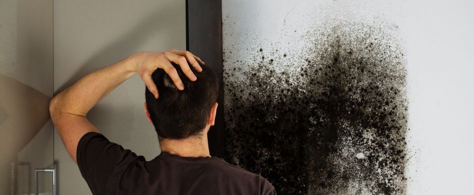 Schimmel in Mietwohnung - wer zahlt?