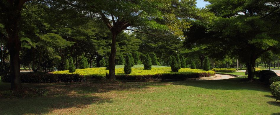 Schneeschimmel bekämpfen und vorbeugen: Tipps für den Rasen