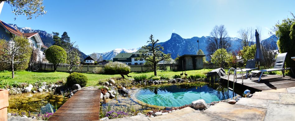 Schwimmteich Kosten: Was kostet ein Schwimmteich?