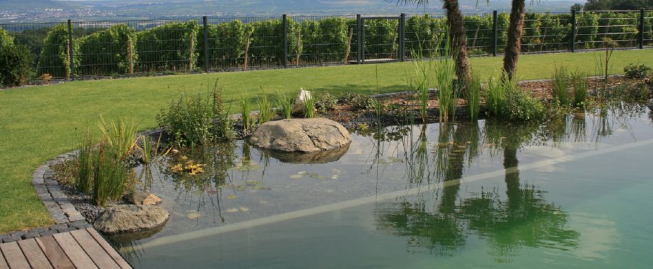 Schwimmteich planen und bauen: Das sollten Sie wissen