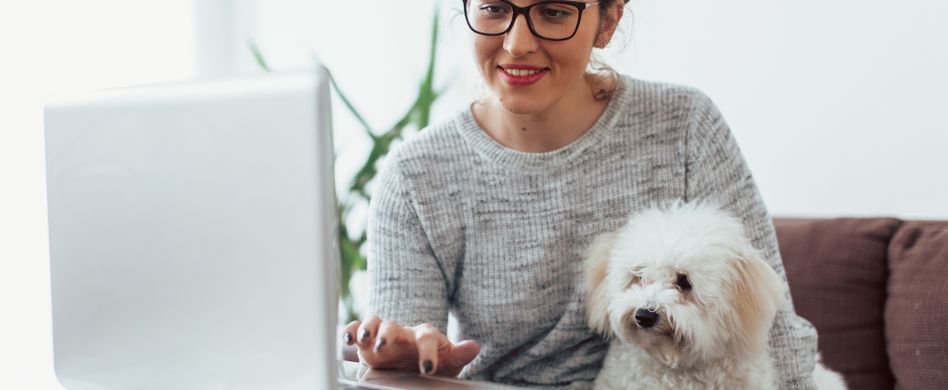 Sind Hunde im Büro erlaubt?