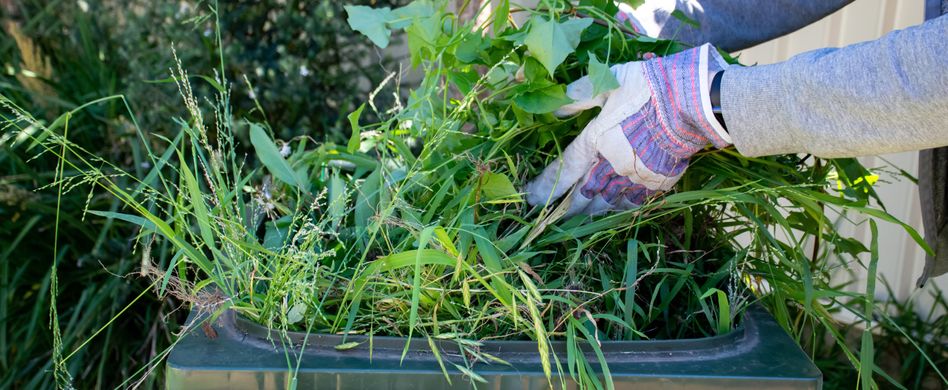 So entsorgt man seine Gartenabfälle richtig