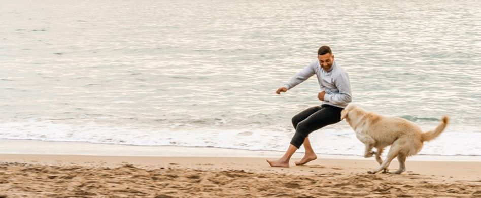 Spielen mit dem Hund – aber richtig: Tipps, um Gefahren zu vermeiden