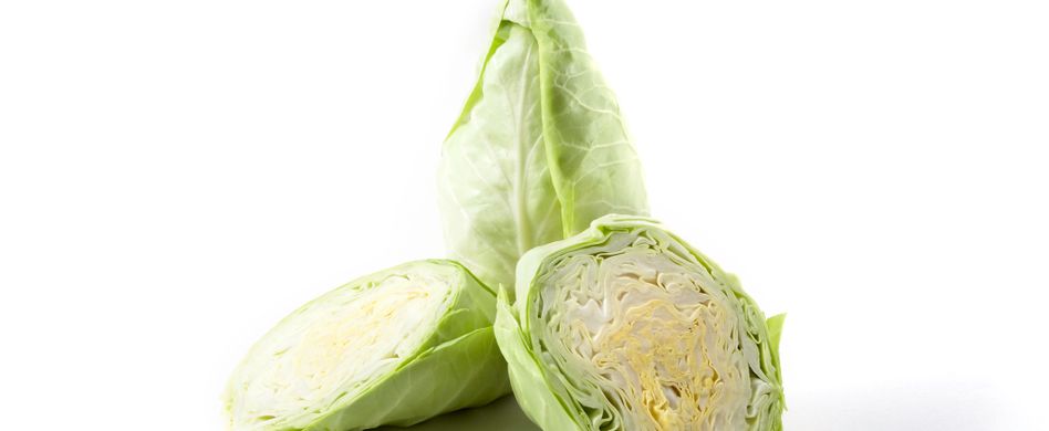 gespaltener spitzkohl auf weißem hintergrund