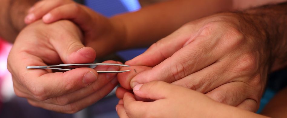 Splitter entfernen: So gehen Sie richtig vor