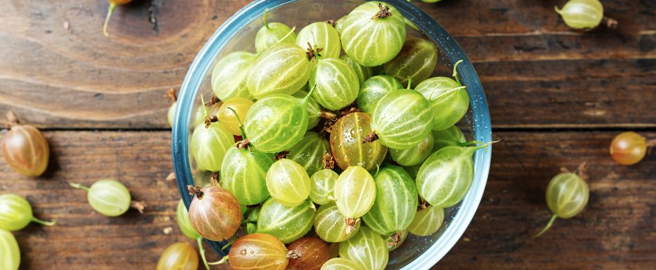 Stachelbeere: So gesund ist das Strauchgewächs