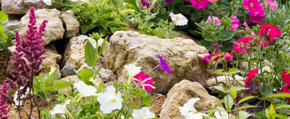 Steingarten anlegen: Was Sie über Standort und Co. wissen sollten