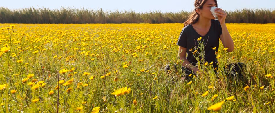 Symptome von Heuschnupfen: So unterscheiden sich Allergie und Erkältung