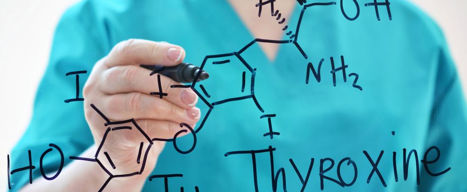 T4, T3, TSH, Kalzitonin und Parathormon: Wichtige Schilddrüsenhormone und ihre Funktion