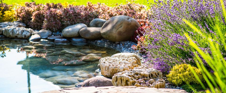 Teich anlegen: Tipps zur Planung der Wasserstelle im Garten