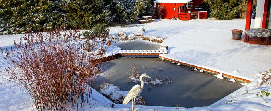 Teich winterfest machen: 7 Tipps für ein frostsicheres Gewässer