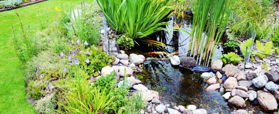 Teichfolie verlegen: So bauen Sie Ihren Folienteich selbst