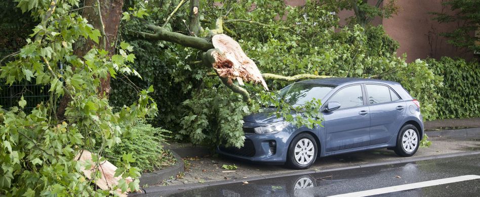 Teilkasko versus Vollkasko: Was ist der Unterschied?