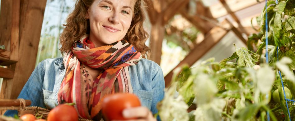 Tomatenhaus selber bauen: Effektiver Schutz fürs Gemüse