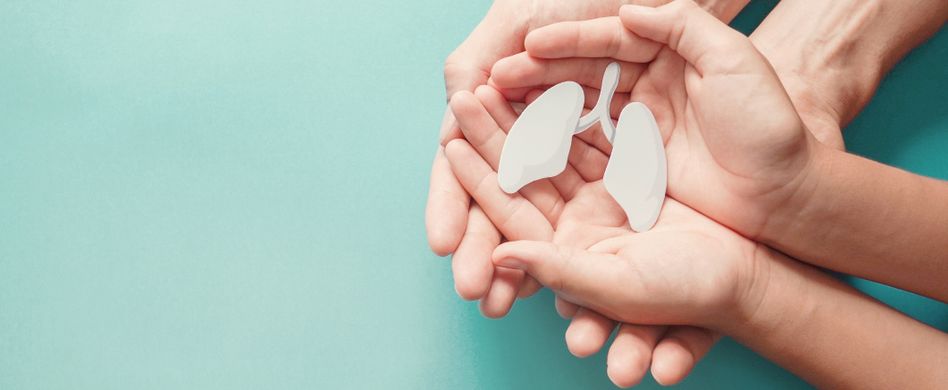 zwei menschen halten kleine weiße plastiklunge in den händen