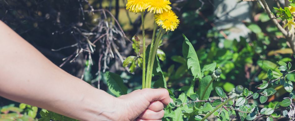 Unkrautvlies verlegen: Anleitung und Tipps