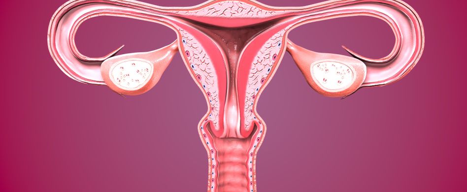 Ursachen der Eileiterschwangerschaft