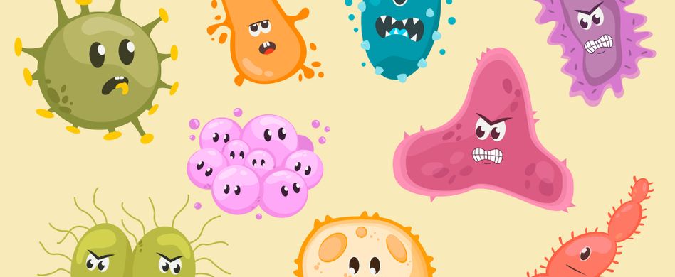 Viren und Bakterien: Was ist der Unterschied?