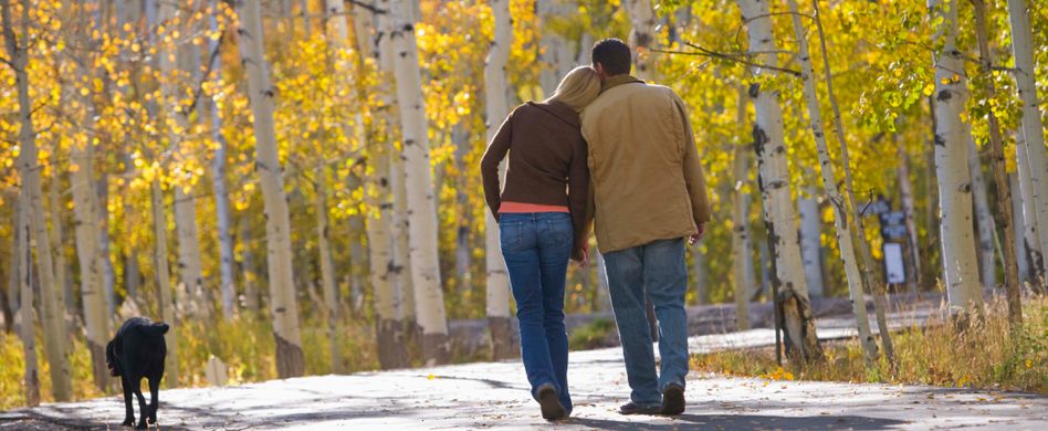 Warum ein Waldspaziergang so gesund ist