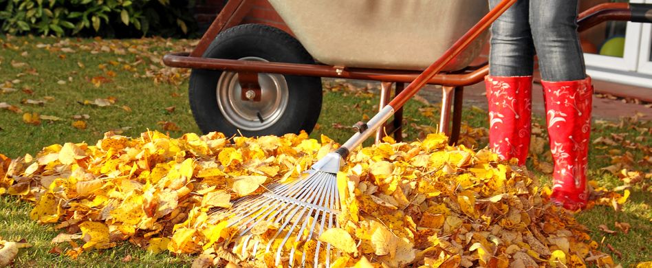 Warum entsorgen? So können Sie Herbstlaub sinnvoll verwenden