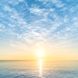 Warum entsteht eine Sonnenallergie? Ursachen der Lichtdermatose