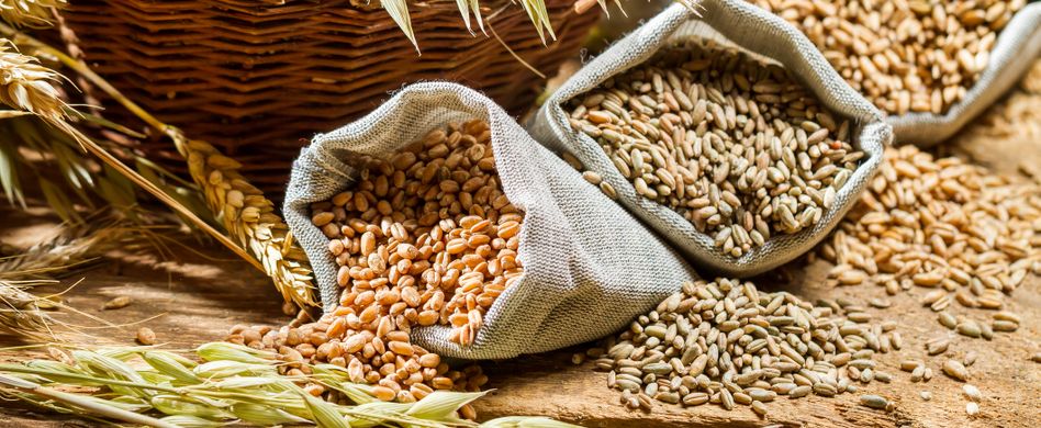Warum Vollkorn so gesund ist: 3 gute Gründe