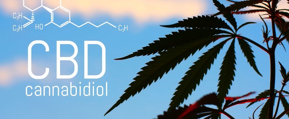 Was ist CBD Hanf?