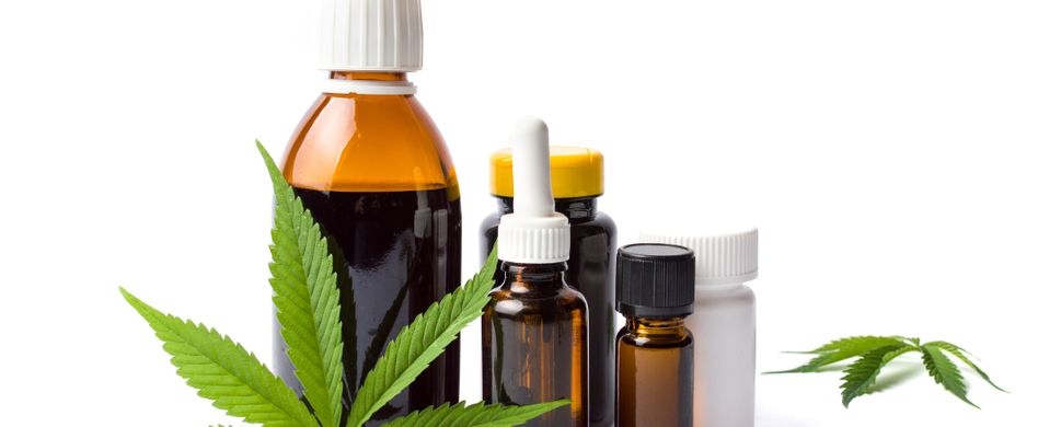 Was ist der Unterschied zwischen Hanf, Cannabis und Marihuana?