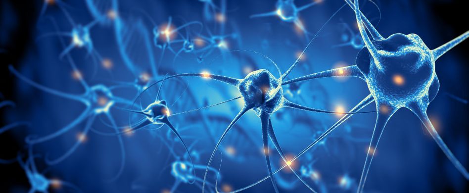 Was ist Thiamin? Alles zu Vitamin B1