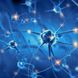 Was ist Thiamin? Alles zu Vitamin B1