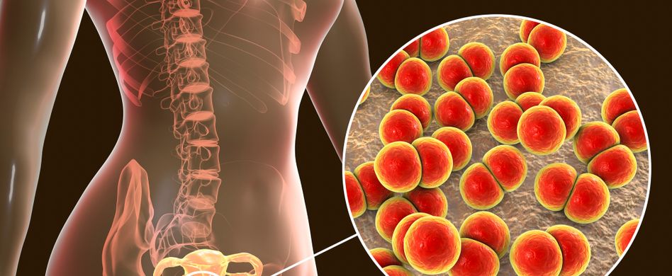 Was ist Tripper eigentlich?