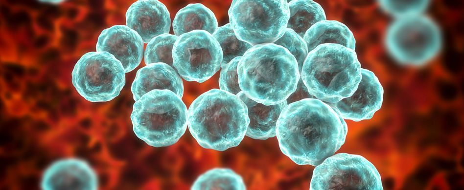 Was sind eigentlich Chlamydien?