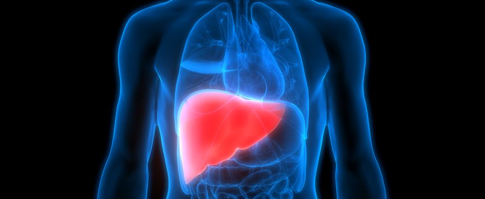 Was sind Leberwerte, welche Leberwerte sind gefährlich und wie werden Sie behandelt?