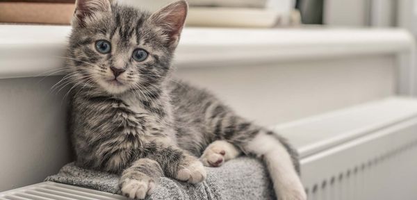 welche-heizung-ist-die-beste-6-tipps-fuer-die-richtige-auswahl-bild-1