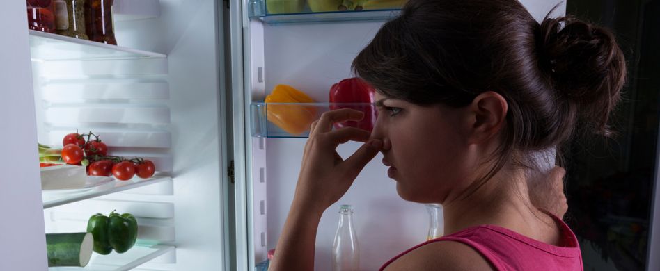 Wenn’s müffelt: 4 Tipps gegen Gestank im Haushalt