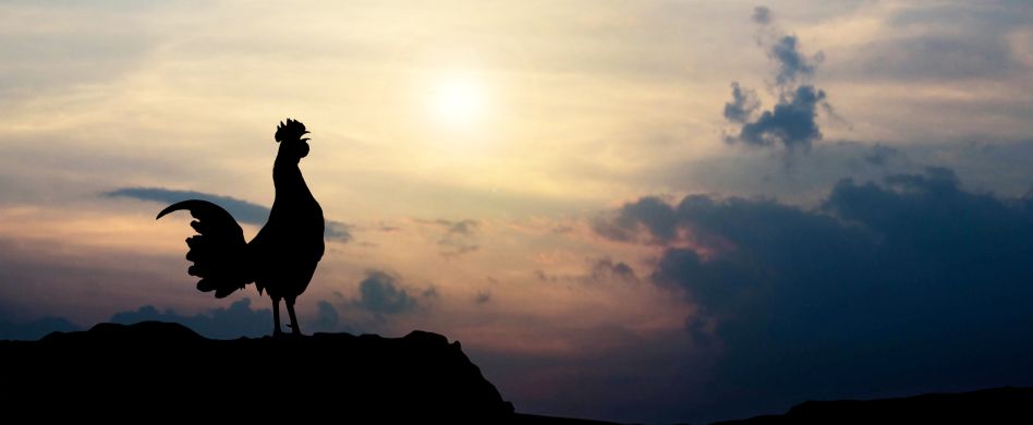 Wettervorhersage: 5 Bauernregeln, die wirklich stimmen