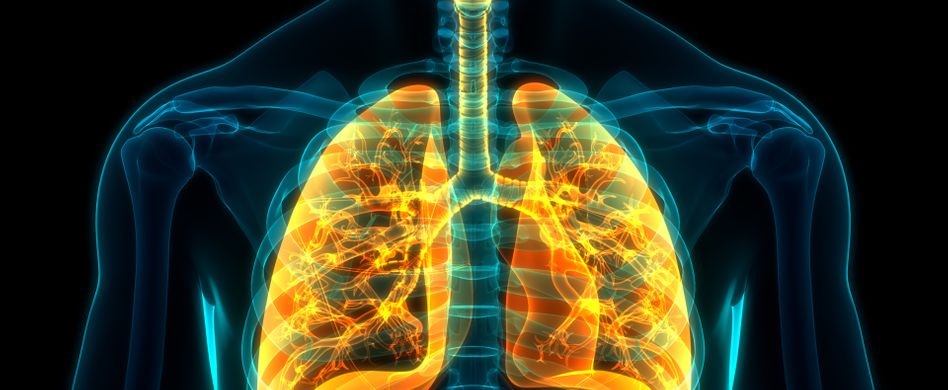 Lunge Aufnahme Mensch
