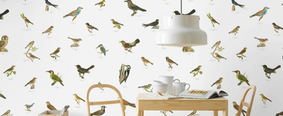 Wie man mit der richtigen Tapete die Wände verschönert