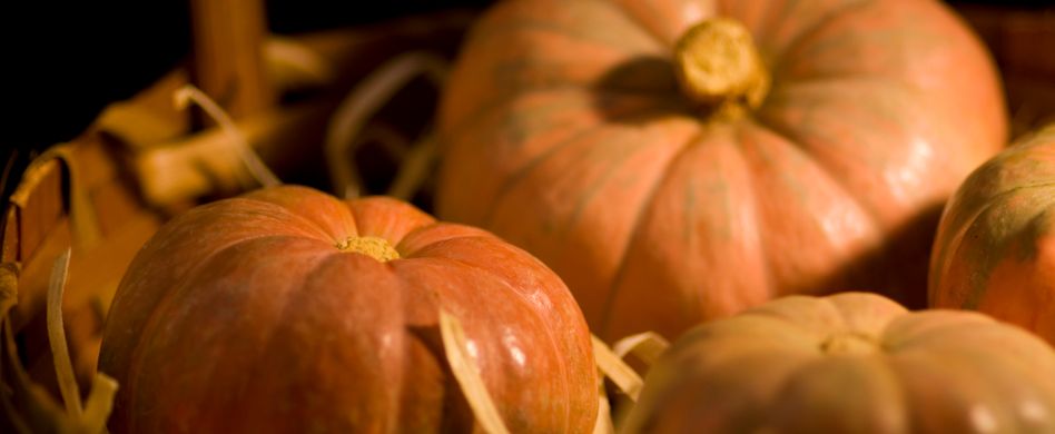 Wie werden Kürbisse gelagert?