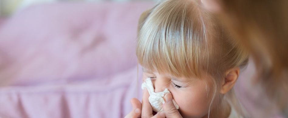 Wodurch werden Ringelröteln ausgelöst?