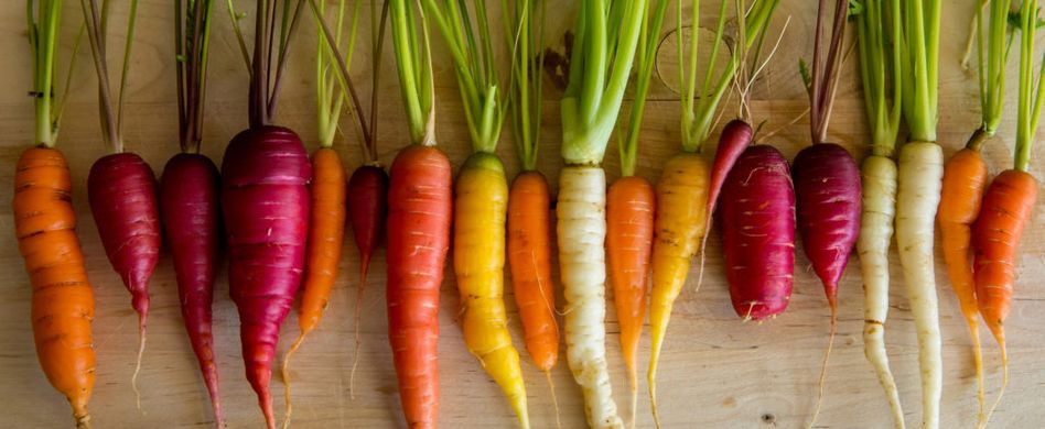 Wurzelgemüse: Diese Arten sind lecker und gesund!