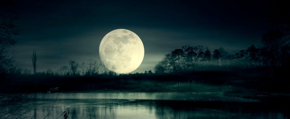 Xeroderma pigmentosum: Was ist die Mondscheinkrankheit?