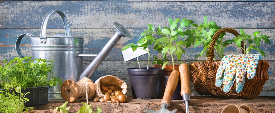 Selbstversorgergarten: Obst und Gemüse selbst anbauen