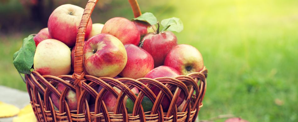 Apfelzeit: Diese Dinge sollten Sie über Äpfel wissen