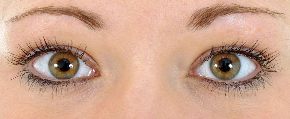 Aufbau des Auges: So funktioniert der Sehsinn