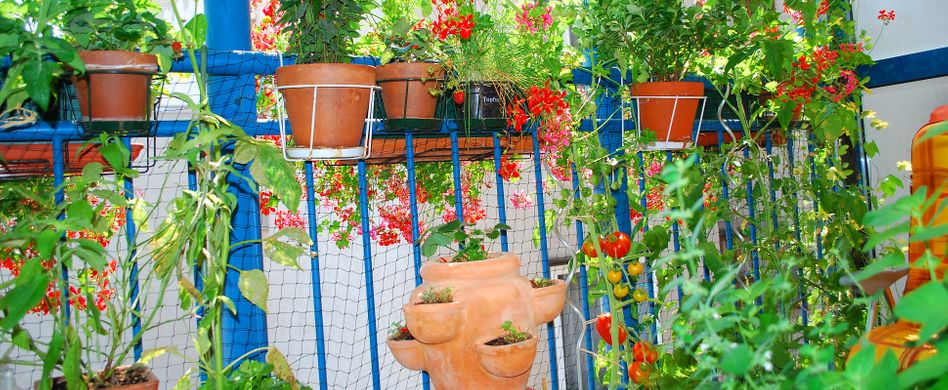 Balkongarten: 4 Tipps zum Urban-Gardening-Trend