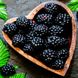 Black Food: Diese 7 schwarzen Lebensmittel sind gesund