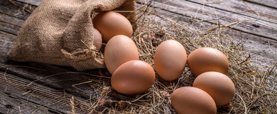 Eierschalen als Dünger: Ein guter Kalklieferant